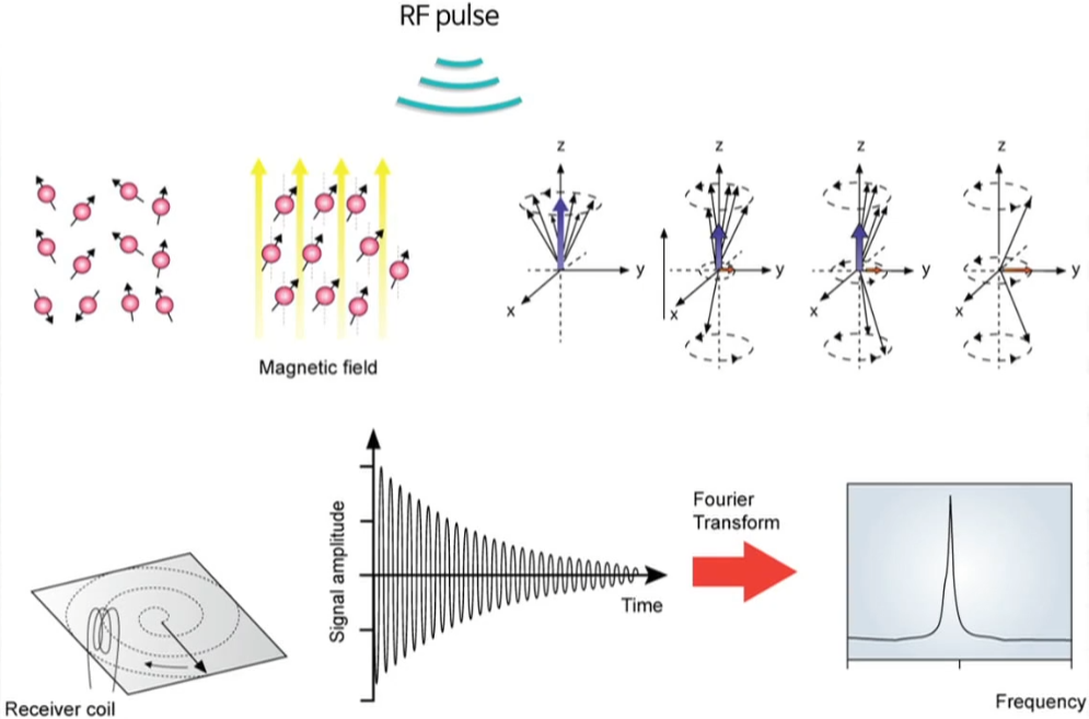 Introduction to medical image analysis image acquisition